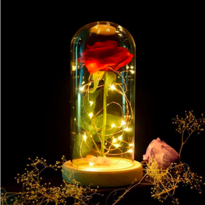 ENCHANTED ROSE FLOWER LAMP