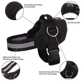 NEW! All-In-One™ No Pull Dog Harness