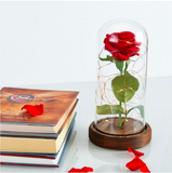 ENCHANTED ROSE FLOWER LAMP