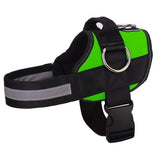 NEW! All-In-One™ No Pull Dog Harness