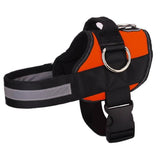 NEW! All-In-One™ No Pull Dog Harness