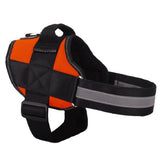 NEW! All-In-One™ No Pull Dog Harness