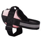 NEW! All-In-One™ No Pull Dog Harness