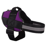 NEW! All-In-One™ No Pull Dog Harness