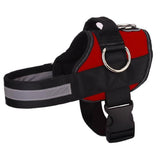 NEW! All-In-One™ No Pull Dog Harness