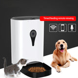 Automatic Pet Feeder with Monitoring